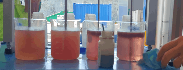 sewage treatment fish factories